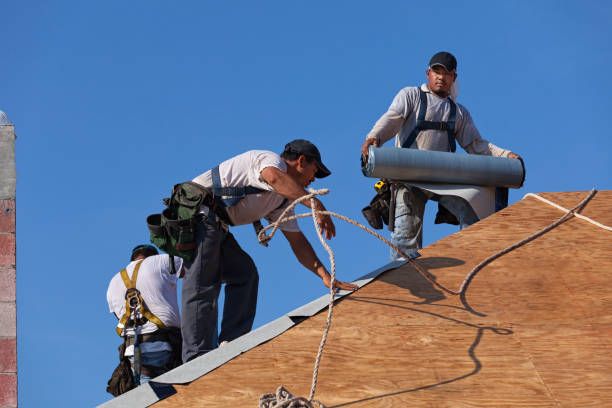 Best Shingle Roofing Installation  in Rushvle, IL