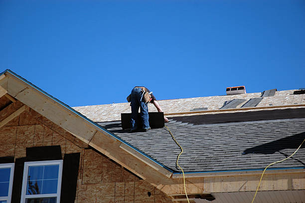 Best Roof Leak Repair  in Rushvle, IL