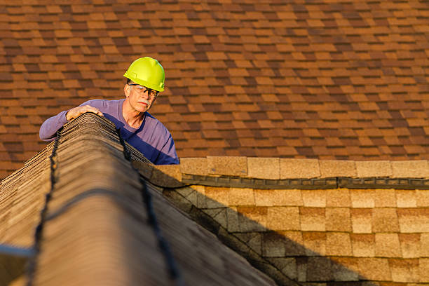 Best Metal Roofing Contractor  in Rushvle, IL